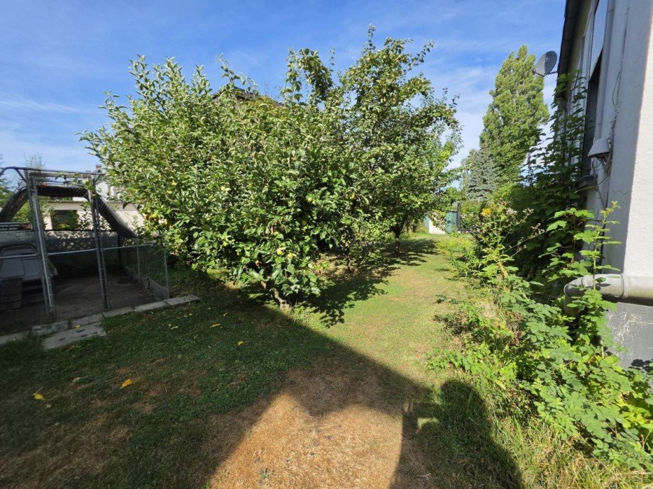 Garten Mehrfamilienhaus Solingen